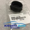 Nắp bình nước phụ Hyundai H100