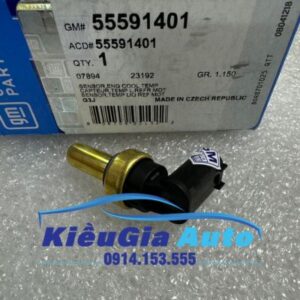 Cảm biến nhiệt độ nước Daewoo Lacetti Se 2009-2011