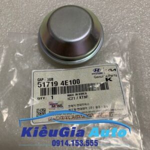 Nắp chụp đầu may ơ Kia K250