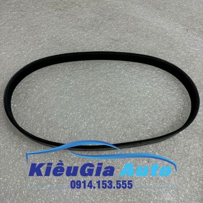 Dây curoa điều hòa Ford Focus 2005-2012