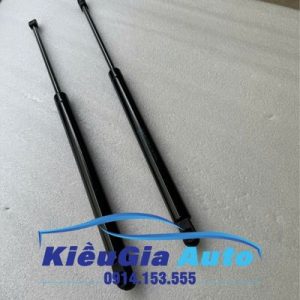 Ty chống cốp hậu sau Ford Escape 2001-2013